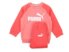 Puma sweatshirt and pants minicats salmon